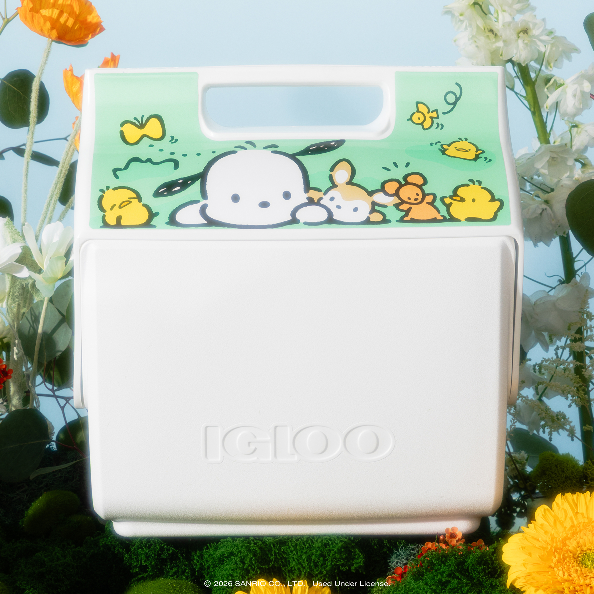 Pochacco x Igloo Little Playmate 7 Qt Cooler - Image 2
