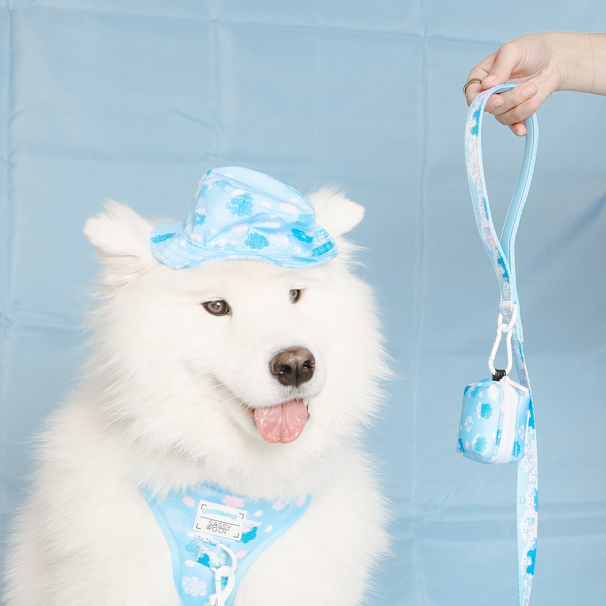 Cinnamoroll x Sassy Woof Dog Bucket Hat (Clouds) - Image 2