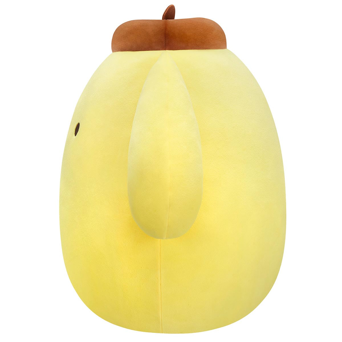 Pompompurin Squishmallows Plush (Assorted) - Image 3