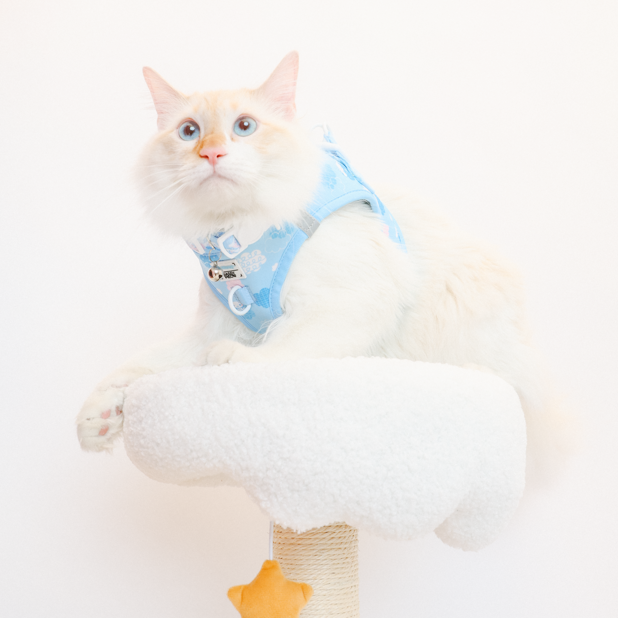 Cinnamoroll x Sassy Woof Cat Step-In Harness (Clouds) - Image 2