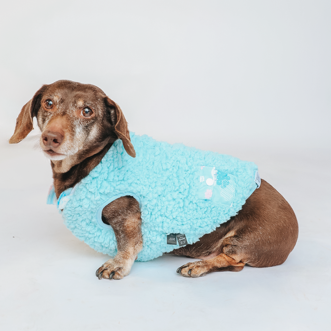 Cinnamoroll x Sassy Woof Reversible Sherpa Dog Jacket (Clouds) - Image 3