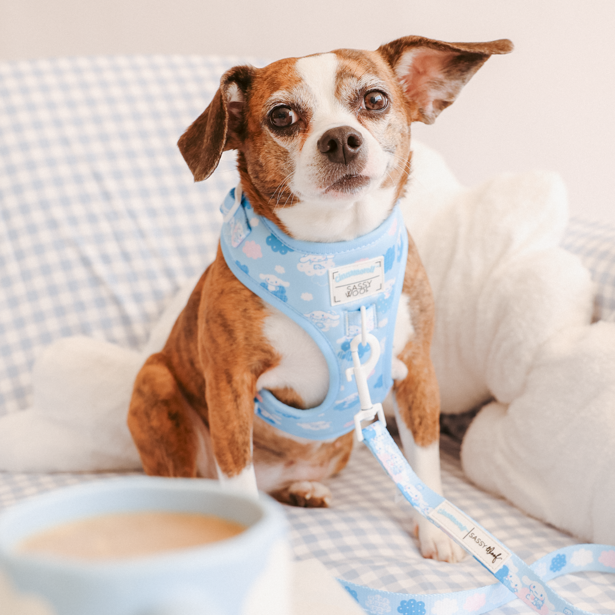 Cinnamoroll x Sassy Woof Adjustable Dog Harness (Clouds) - Image 2